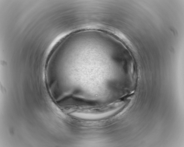 X0000090891232200708101356