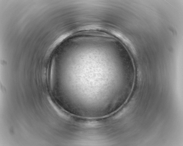 X0000090891233200708101356