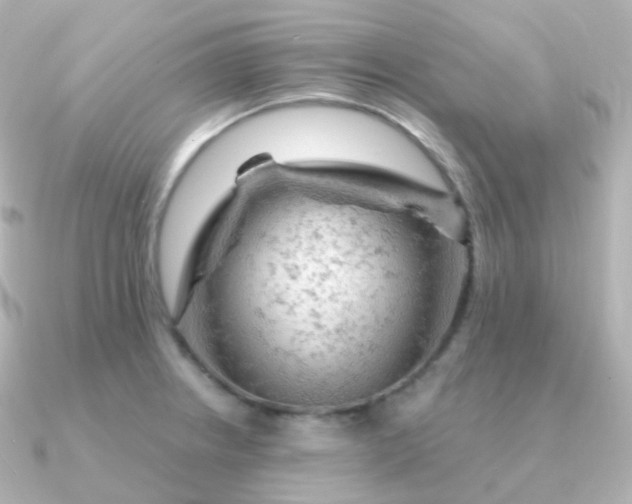 X0000090891234200708101356