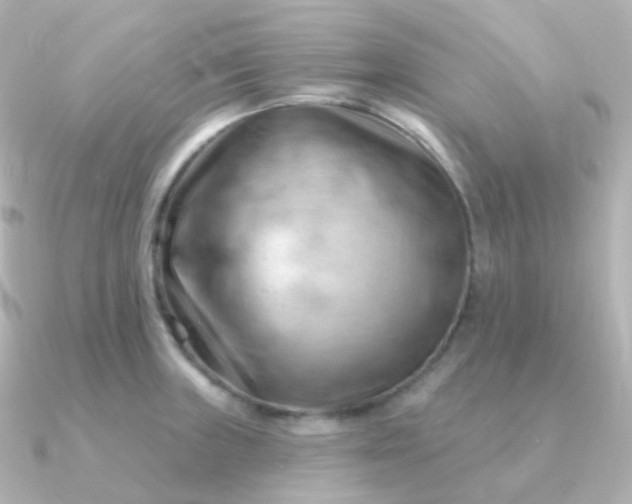 X0000090891235200708101356