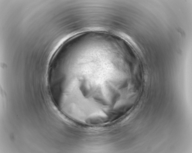 X0000090891236200708101356