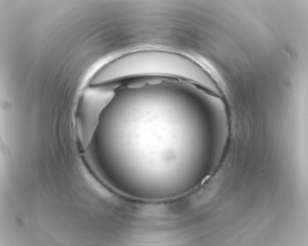 X0000090891238200708101356