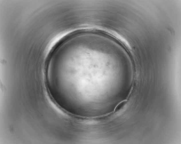 X0000090891239200708101356