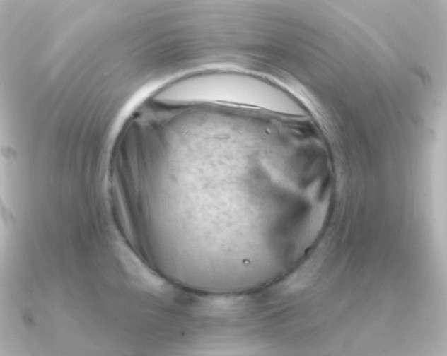 X0000090891240200708101357