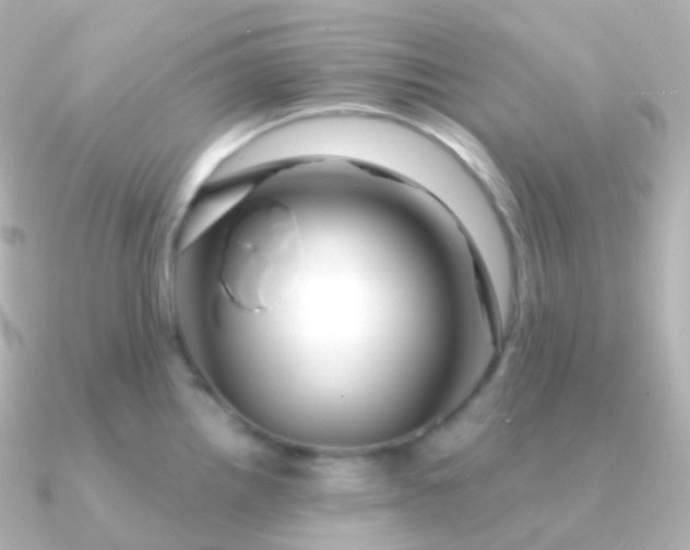 X0000090891242200708101357