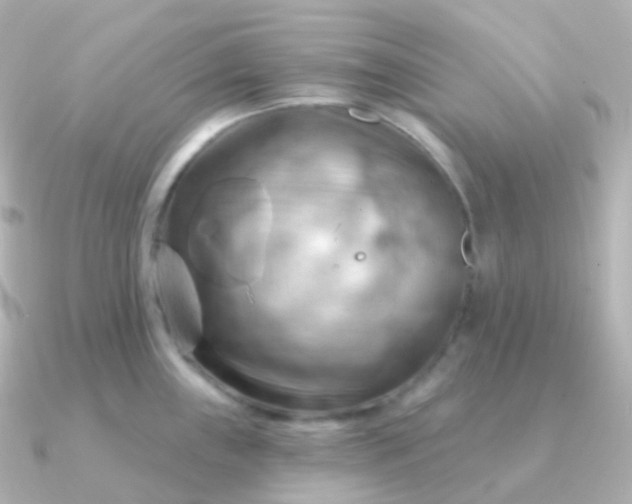 X0000090891243200708101357