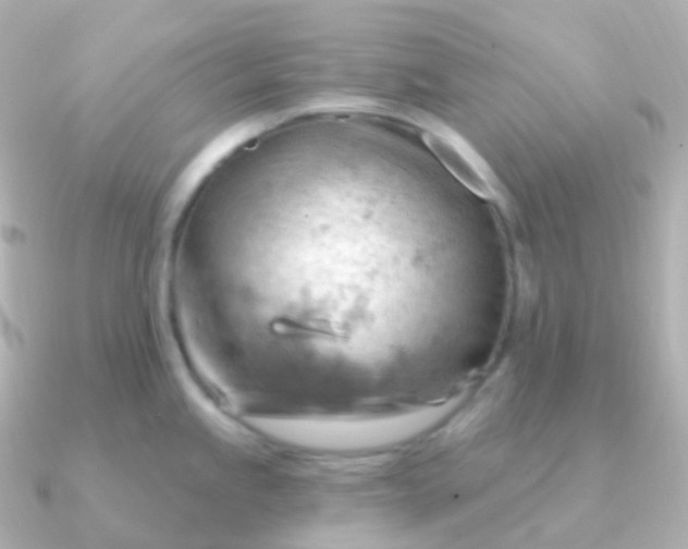 X0000090891245200708101357