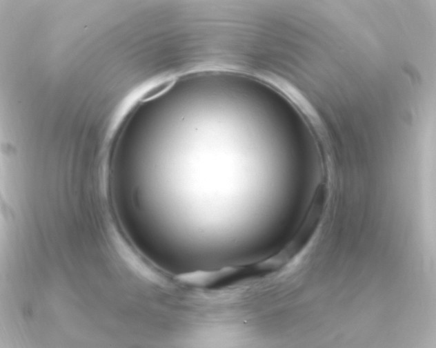 X0000090891246200708101357