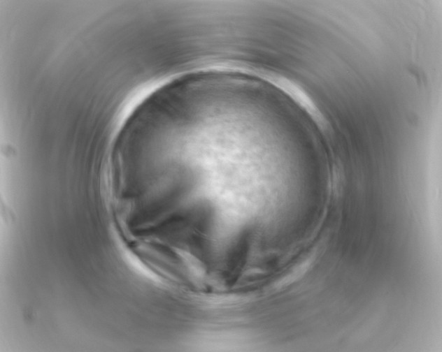 X0000090891247200708101357