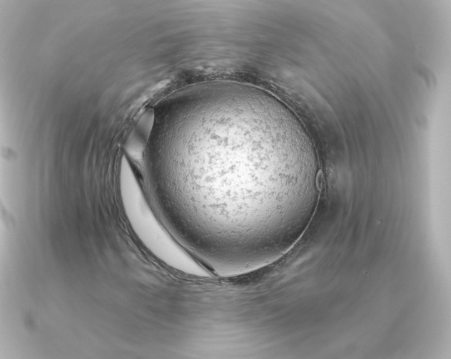 X0000090891250200708101356