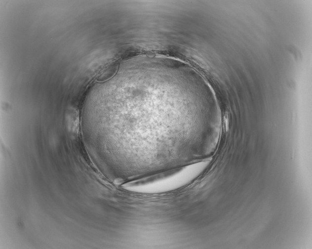 X0000090891251200708101356