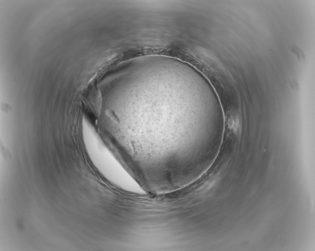 X0000090891252200708101356