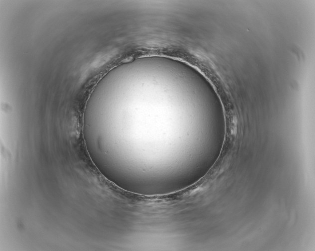 X0000090891253200708101356