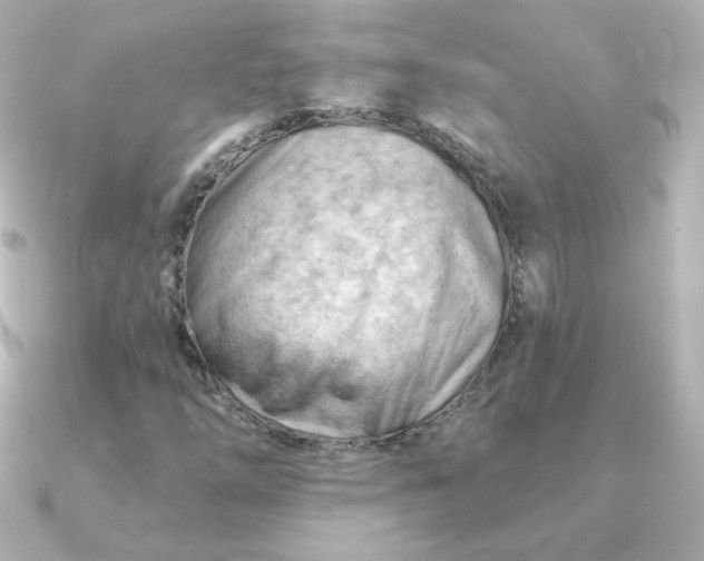 X0000090891254200708101356