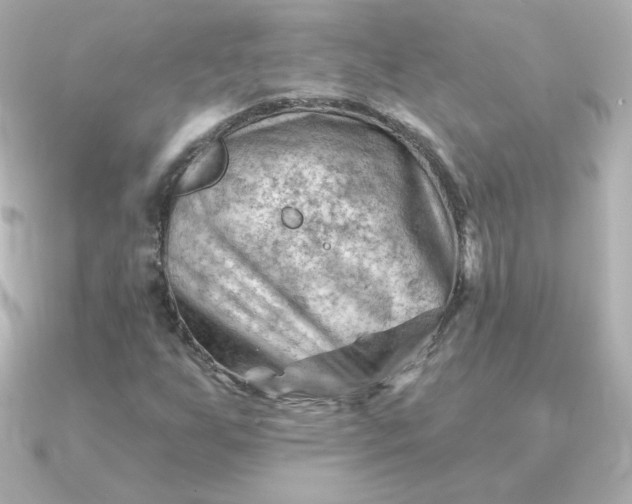 X0000090891255200708101356