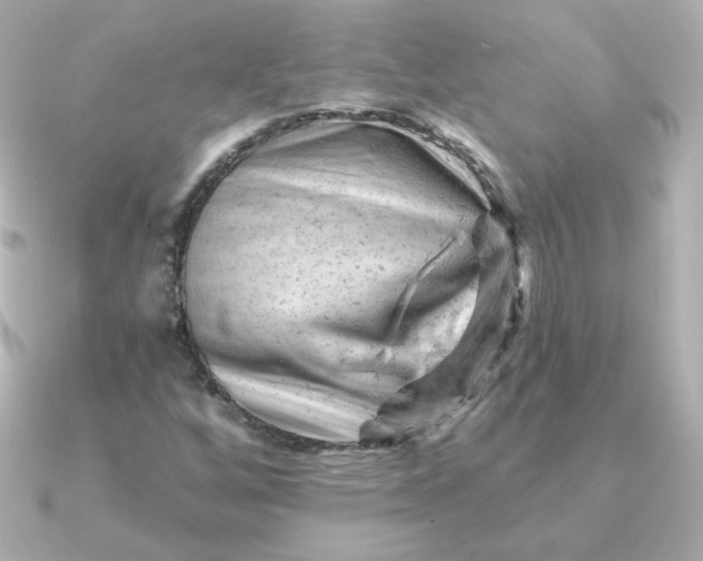 X0000090891256200708101356