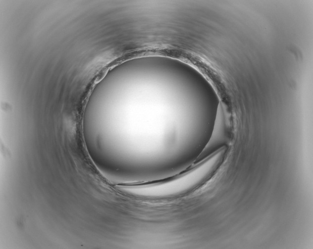 X0000090891257200708101356