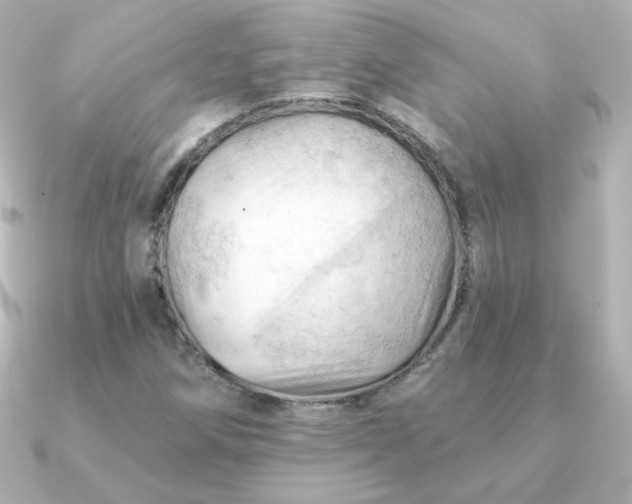 X0000090891258200708101356