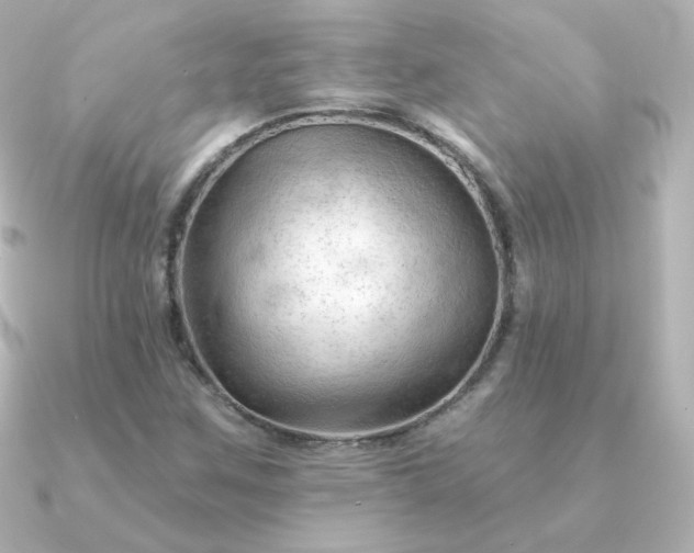 X0000090891259200708101356