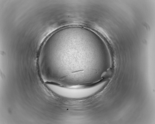 X0000090891260200708101356