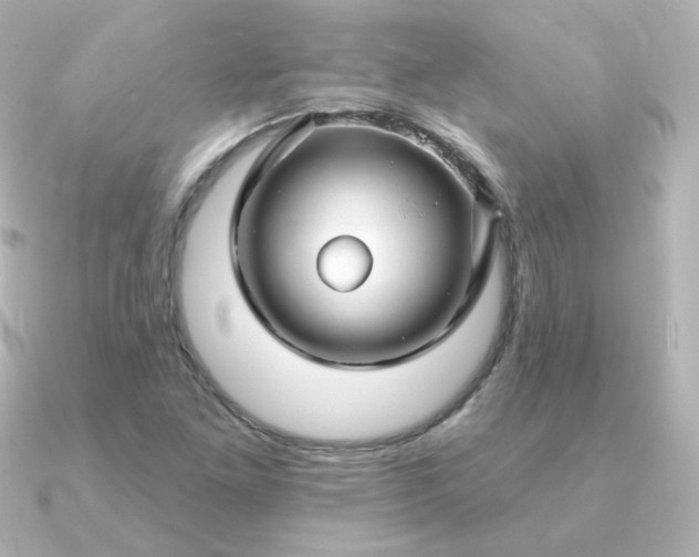 X0000090891261200708101356