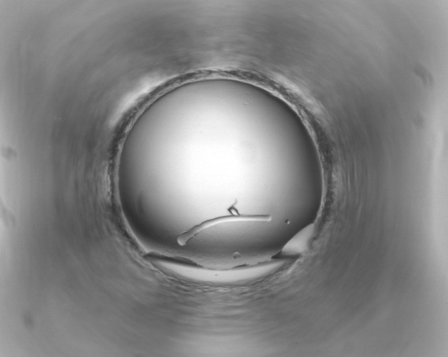 X0000090891262200708101356