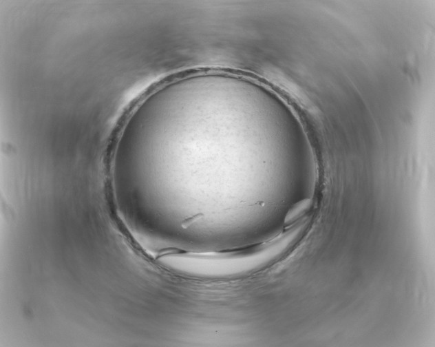 X0000090891264200708101356