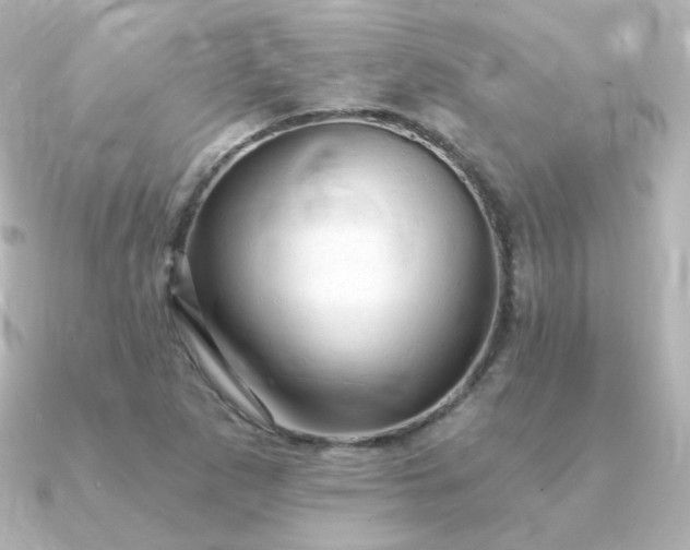 X0000090891265200708101356