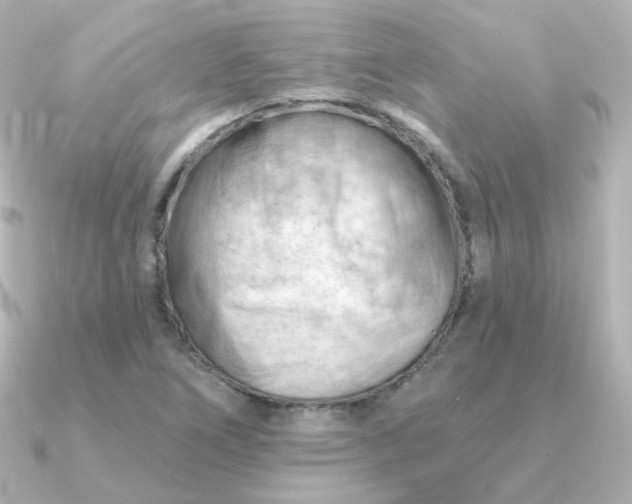 X0000090891266200708101356