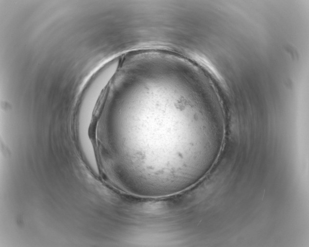 X0000090891268200708101356