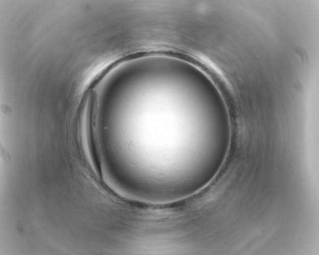 X0000090891269200708101356