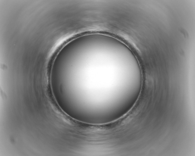 X0000090891270200708101356