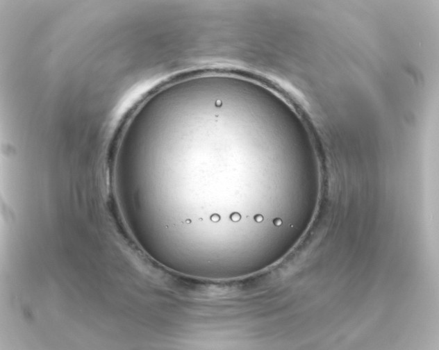 X0000090891271200708101356