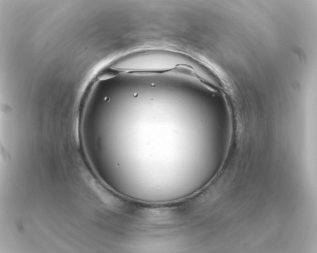 X0000090891272200708101356