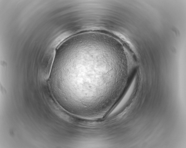 X0000090891273200708101356