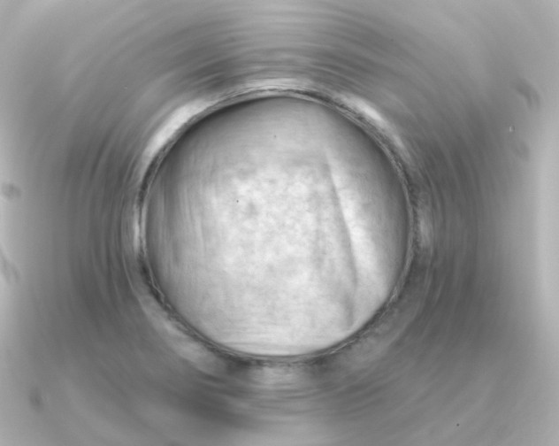 X0000090891274200708101356