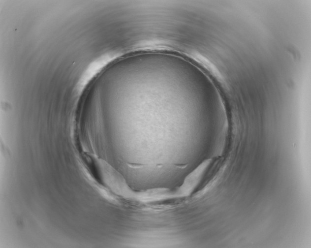 X0000090891277200708101356