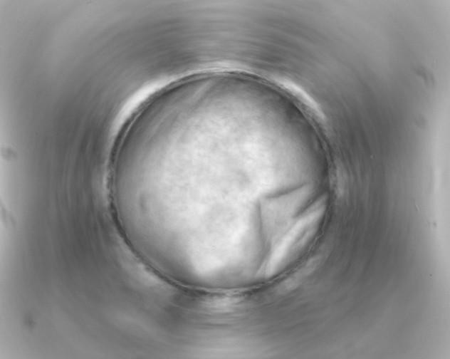 X0000090891278200708101356