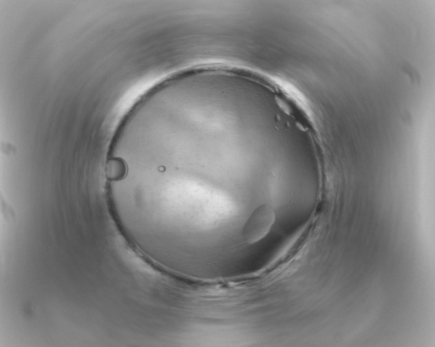 X0000090891279200708101356