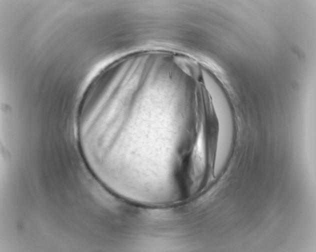 X0000090891280200708101356