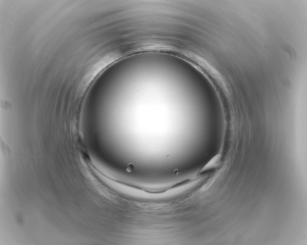 X0000090891281200708101356