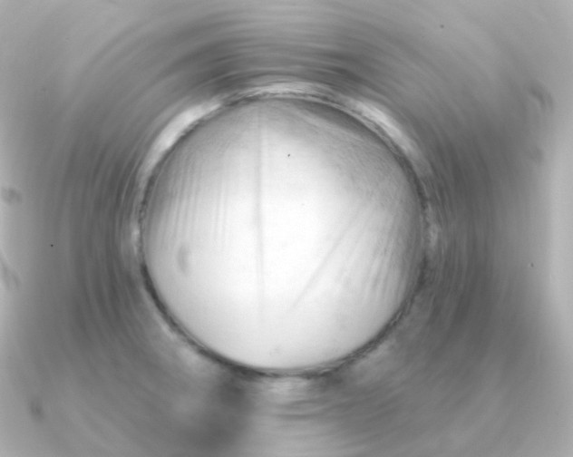 X0000090891282200708101356