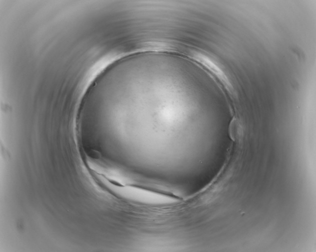 X0000090891283200708101356