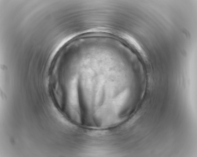 X0000090891284200708101356