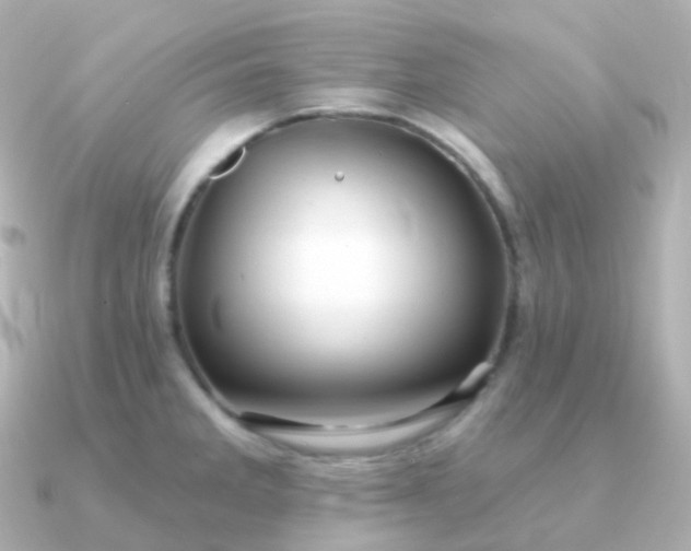 X0000090891285200708101356