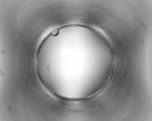 X0000090891286200708101356