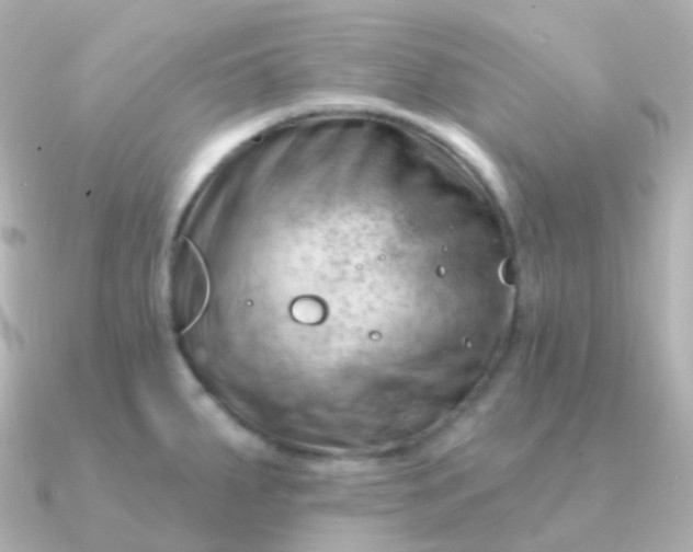 X0000090891287200708101356