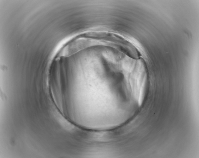 X0000090891288200708101356