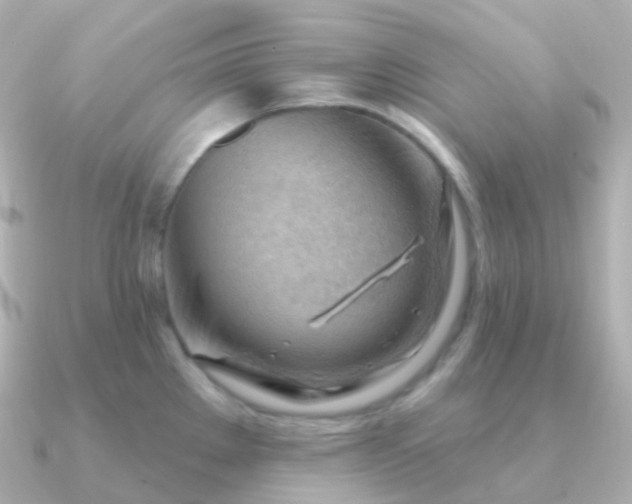 X0000090891289200708101356