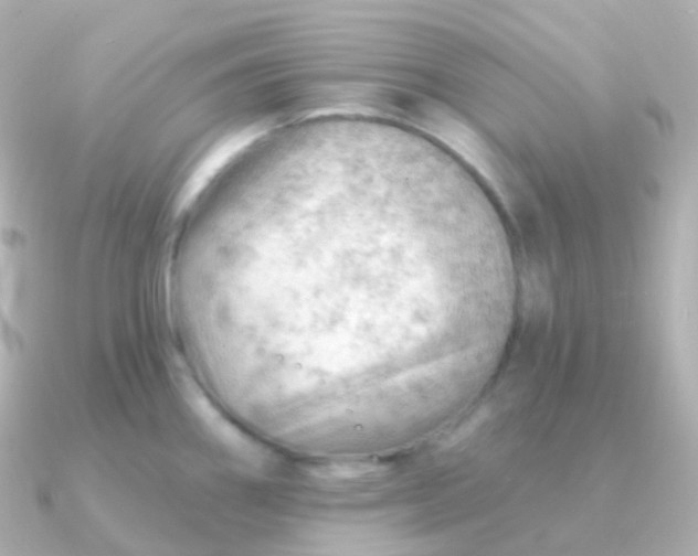 X0000090891290200708101356